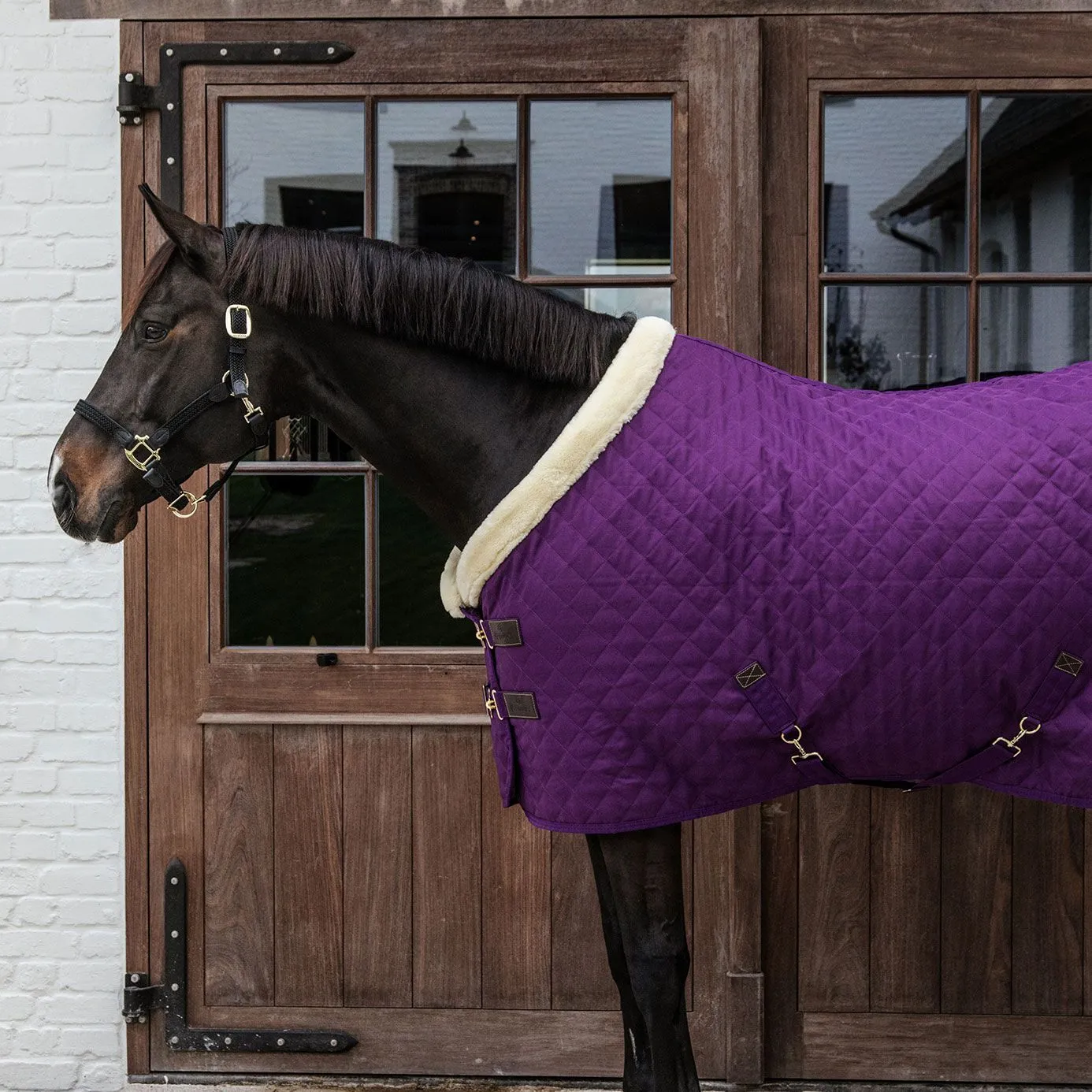 Kentucky Horsewear Show Rug - Purple